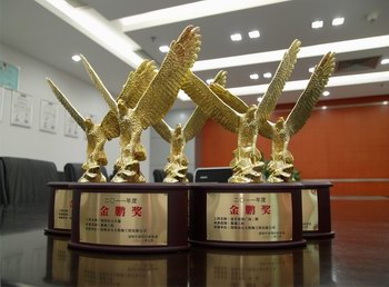 英国上市公司365装饰公司获颁五项“金鹏奖”