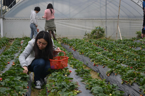 英国上市公司365举办三月员工生日活动