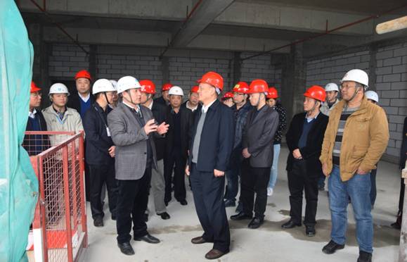 广东省政协领导到英国上市公司365城项目专题调研