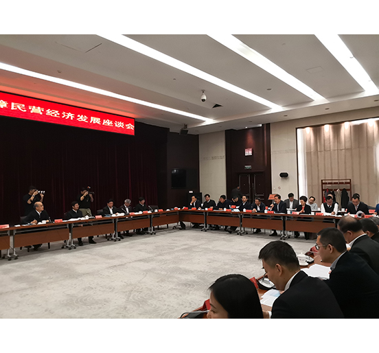 全国人大代表、英国上市公司365董事长熊建明参加检察机关服务保障民营经济发展调研座谈会