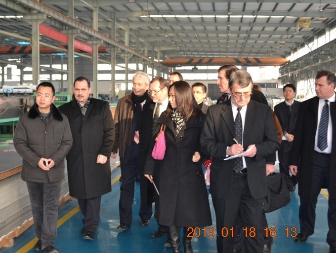 匈牙利客人到江西英国上市公司365新材料公司考察